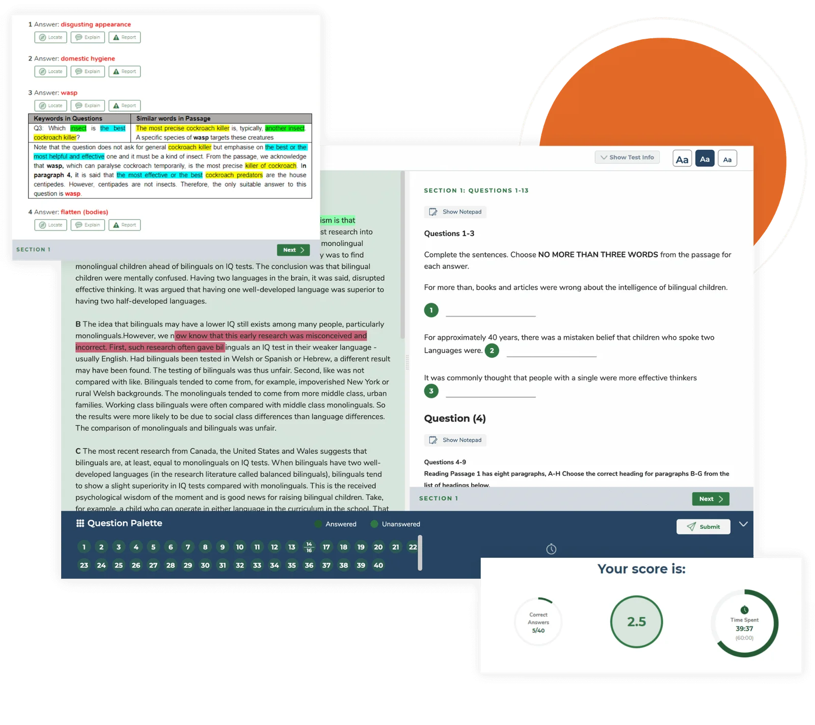 IPE Grammar PRO